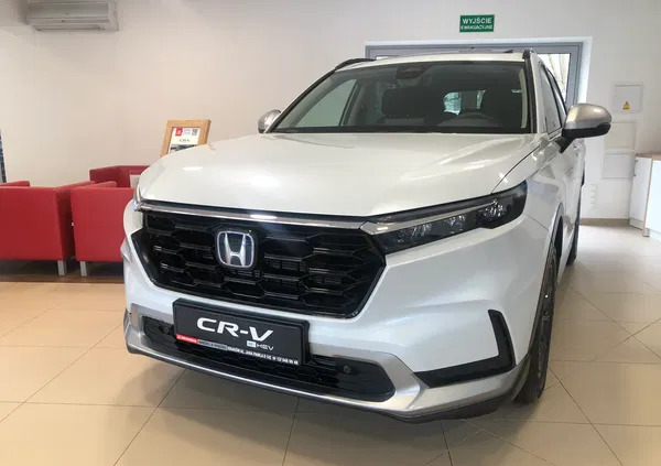 honda łódzkie Honda CR-V cena 229000 przebieg: 5, rok produkcji 2023 z Włocławek